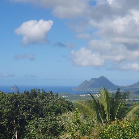Villa Les Mahoganys Riviere-Salee 外观 照片