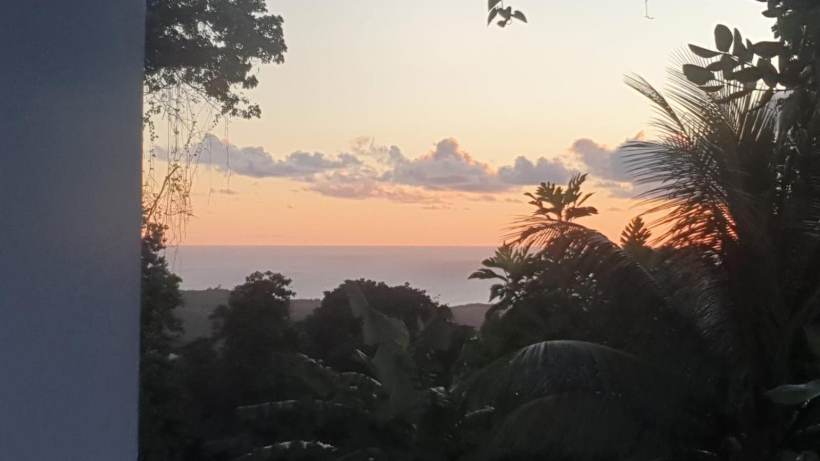 Villa Les Mahoganys Riviere-Salee 外观 照片