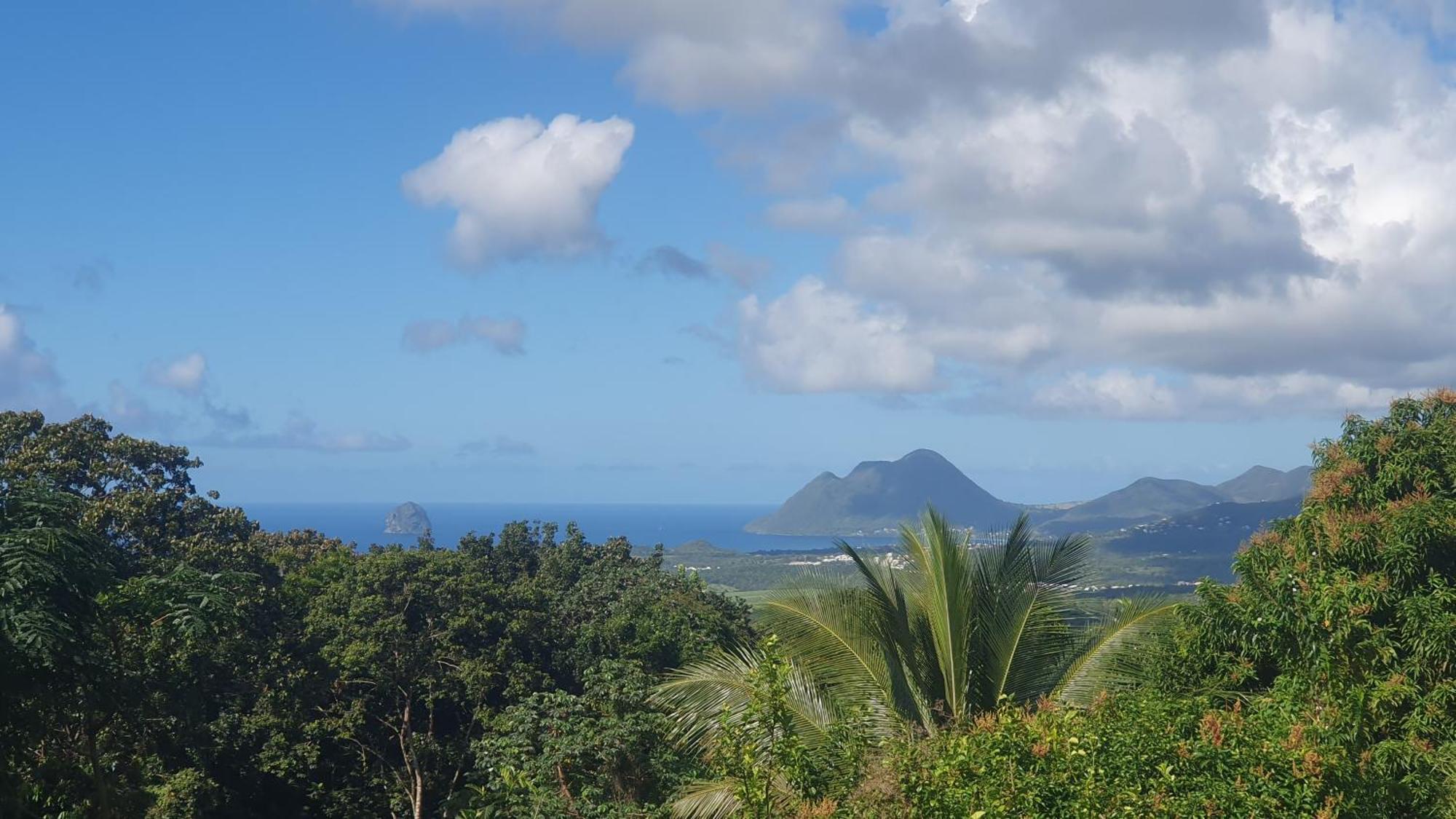 Villa Les Mahoganys Riviere-Salee 外观 照片