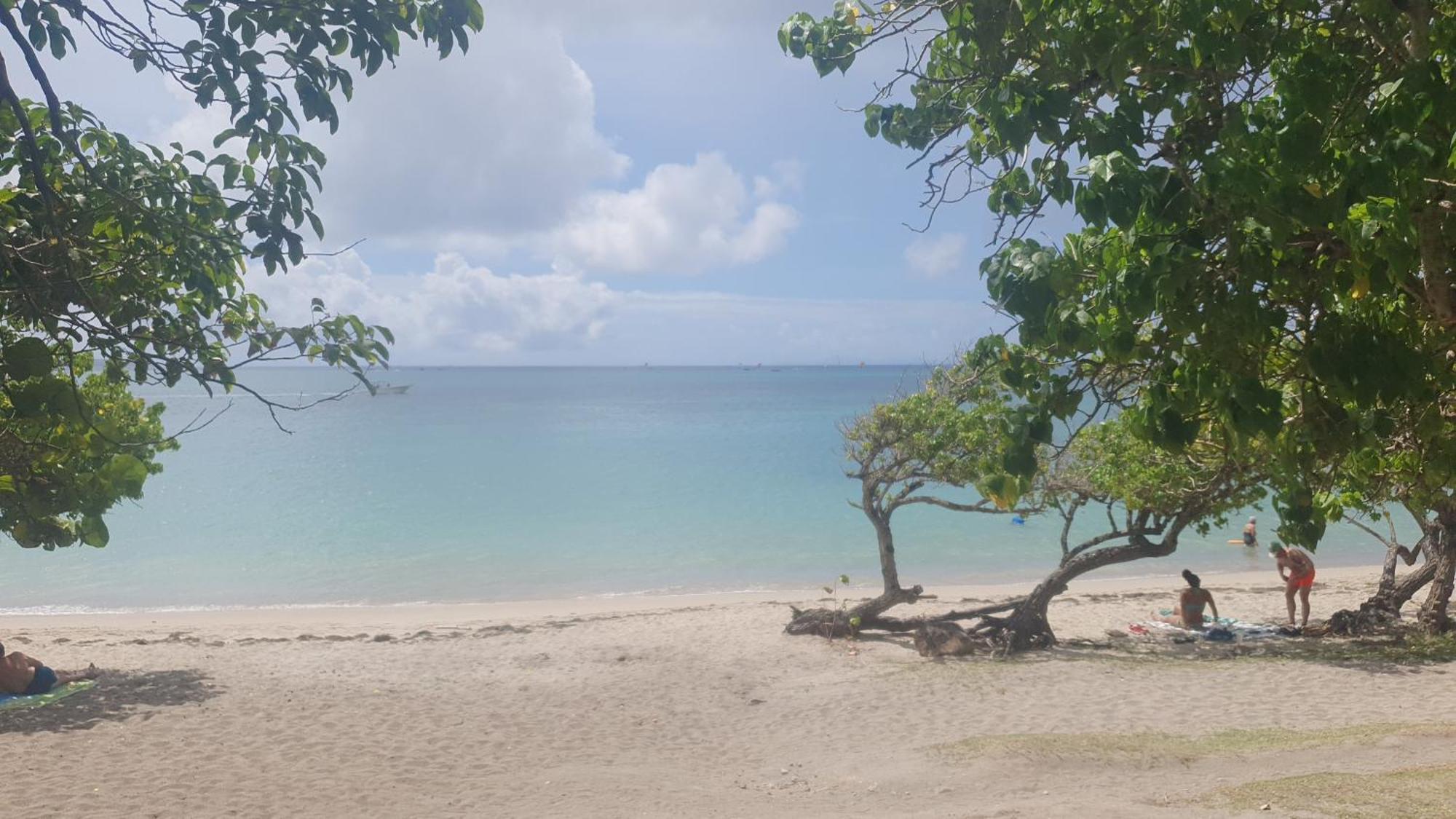 Villa Les Mahoganys Riviere-Salee 外观 照片